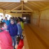 holzhausen201705